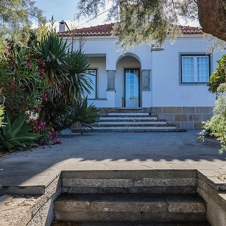 Challet Ericeira Villa Bagian luar foto