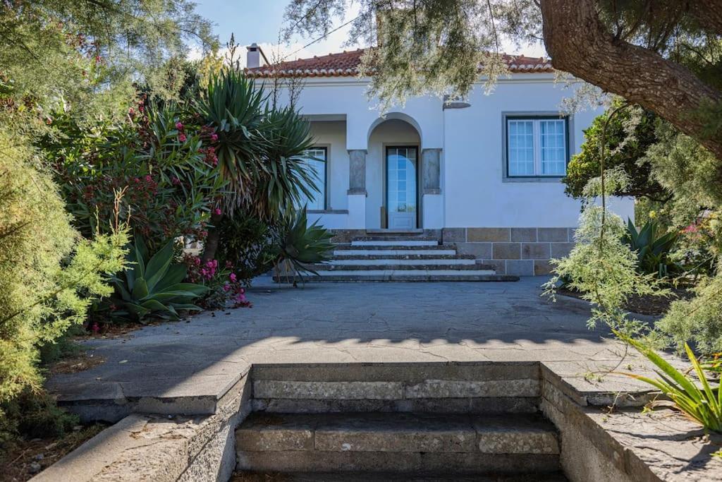 Challet Ericeira Villa Bagian luar foto