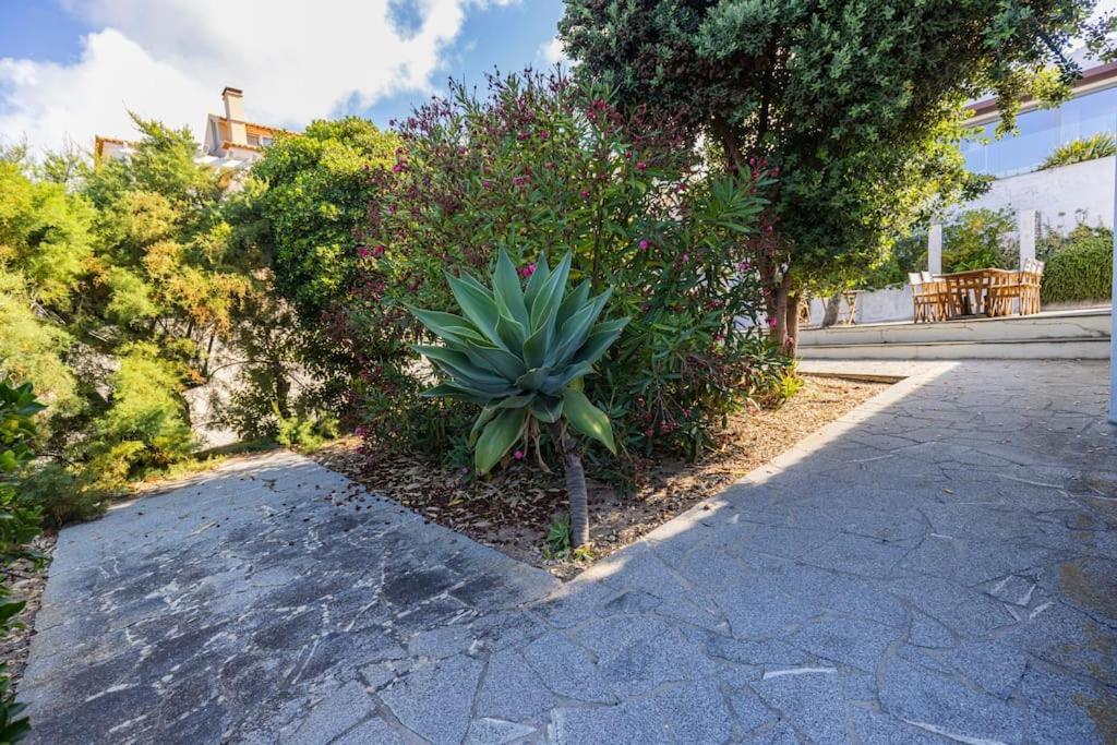 Challet Ericeira Villa Bagian luar foto
