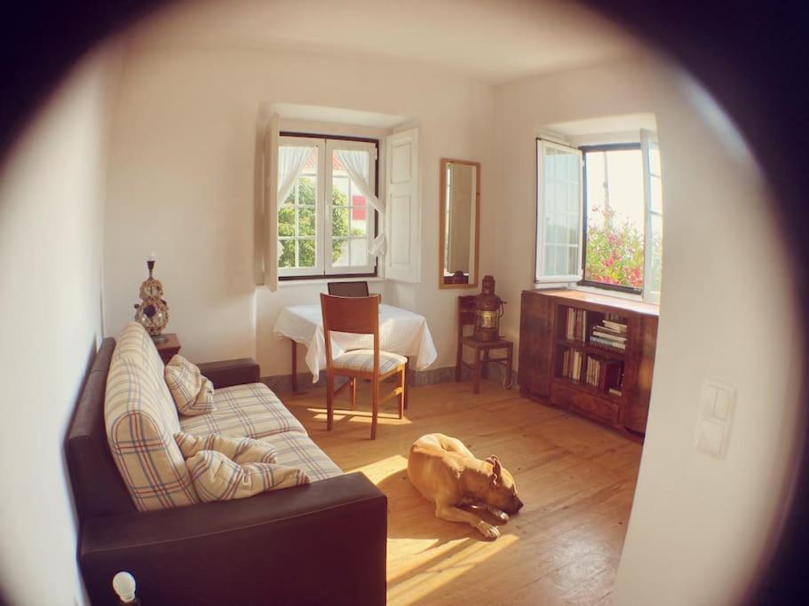Challet Ericeira Villa Bagian luar foto