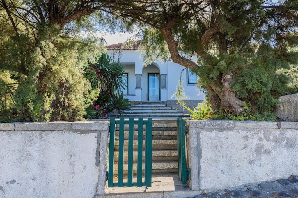 Challet Ericeira Villa Bagian luar foto