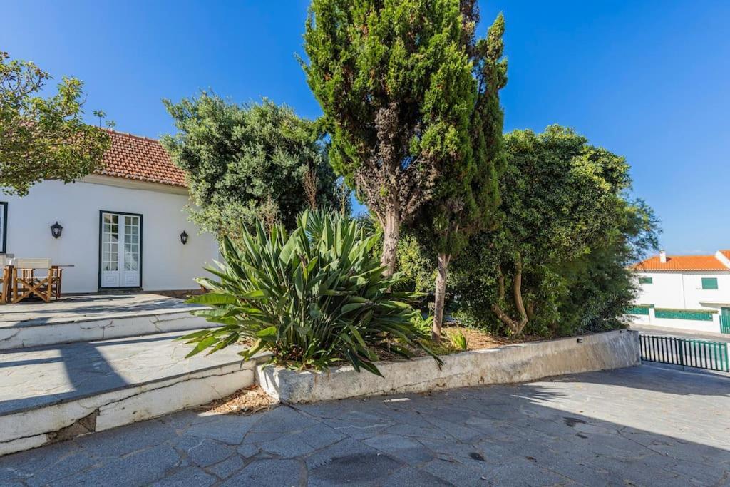Challet Ericeira Villa Bagian luar foto