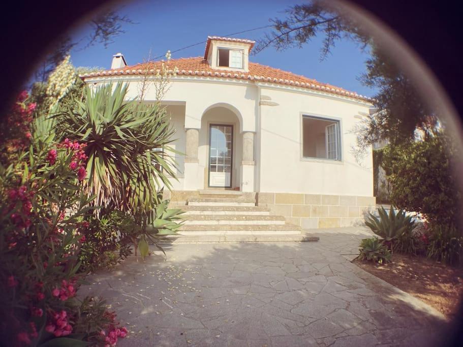 Challet Ericeira Villa Bagian luar foto